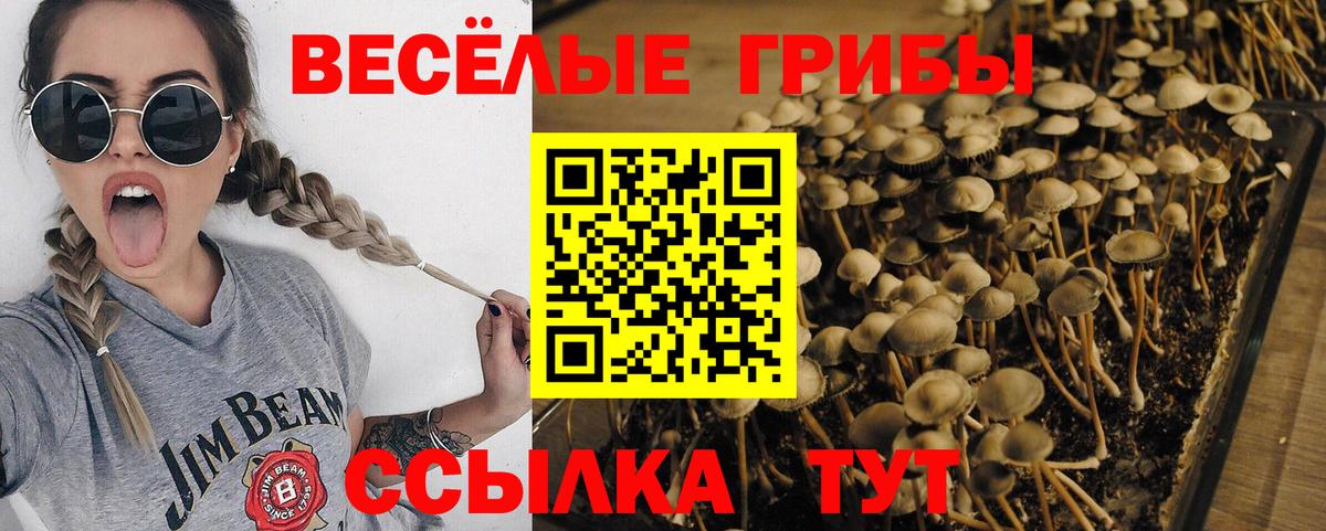 Архангельск  купить наркотики сайты  Вход с VPN  Псилоцибиновые грибы MAGIC MUSHROOMS 